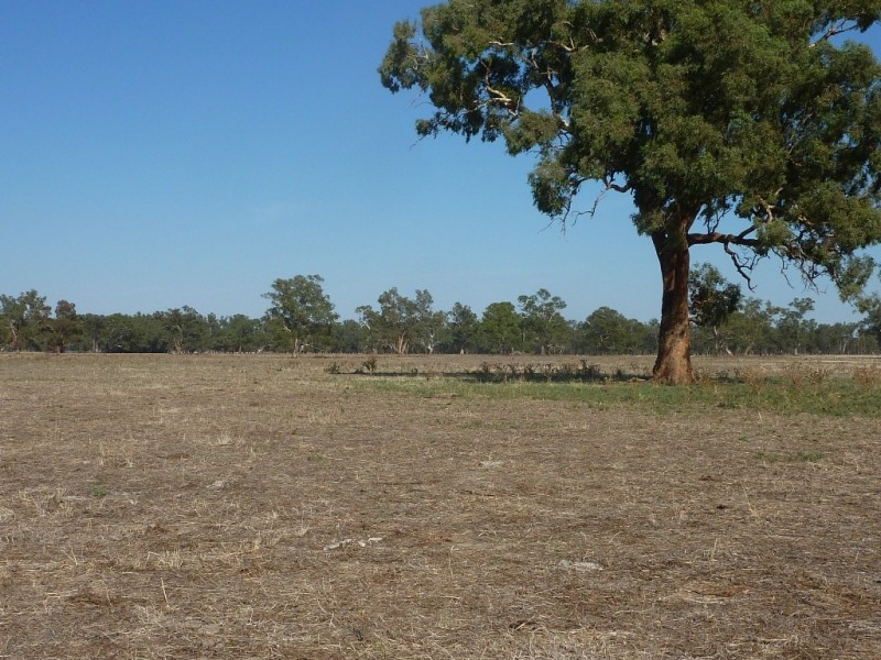 RMB 133 Old Narrandera Road, Wagga Wagga NSW 2650