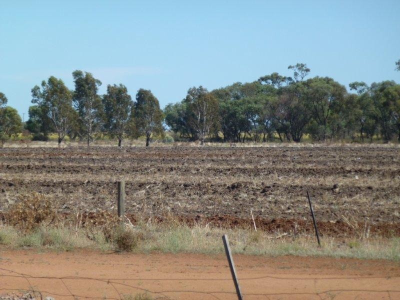 Farm 527 McDonald Road, Coleambally NSW 2707