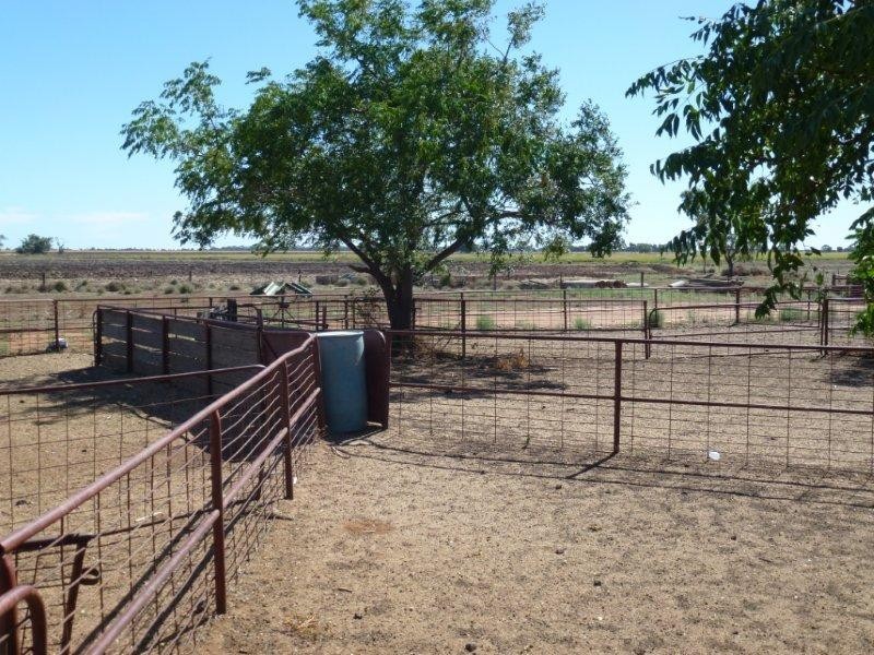 “Barega” Hutchings Road, Coleambally NSW 2707