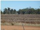 “Barega” Hutchings Road, Coleambally NSW 2707