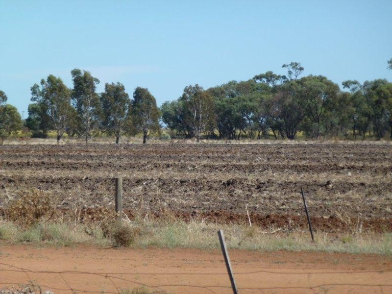 “Barega” Hutchings Road, Coleambally NSW 2707