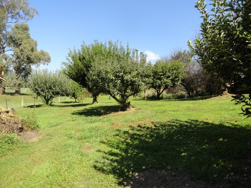 9023 Murray River Road, Walwa VIC 3709