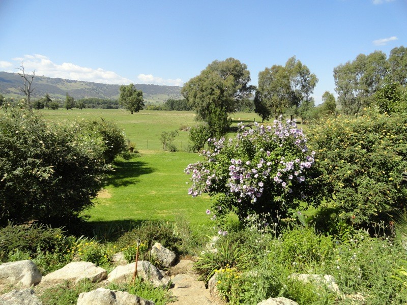 9023 Murray River Road, Walwa VIC 3709