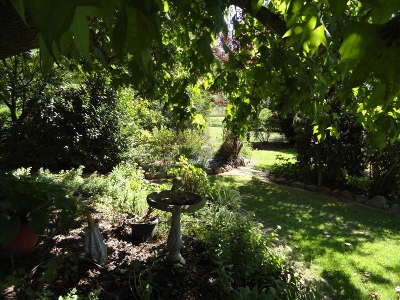 9023 Murray River Road, Walwa VIC 3709