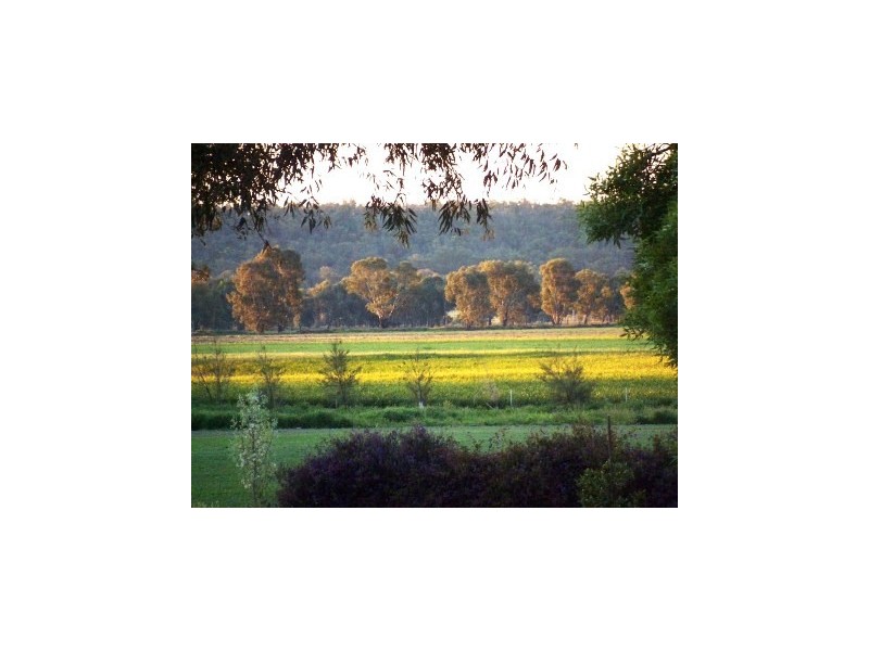 Lot 10 – 886 Old Wagga Road, Narrandera NSW 2700