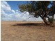 Southdown Road, Deniliquin NSW 2710