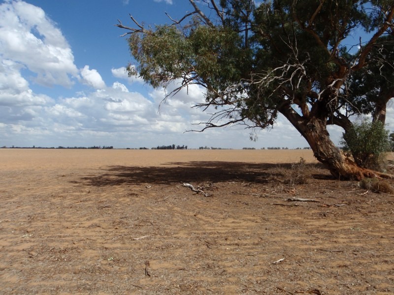 Southdown Road, Deniliquin NSW 2710