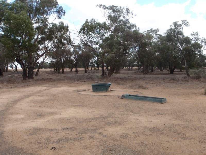 Southdown Road, Deniliquin NSW 2710