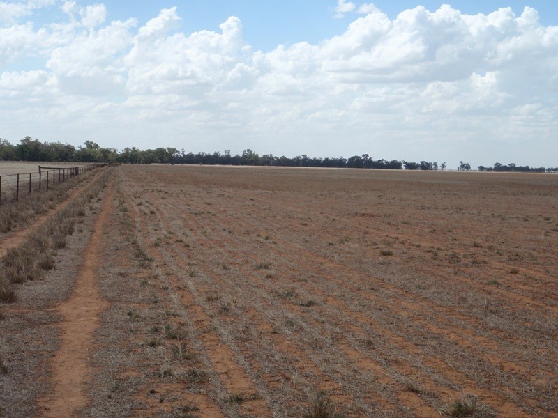 Southdown Road, Deniliquin NSW 2710