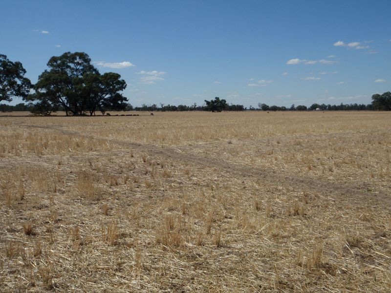 Gollops Road, Deniliquin NSW 2710