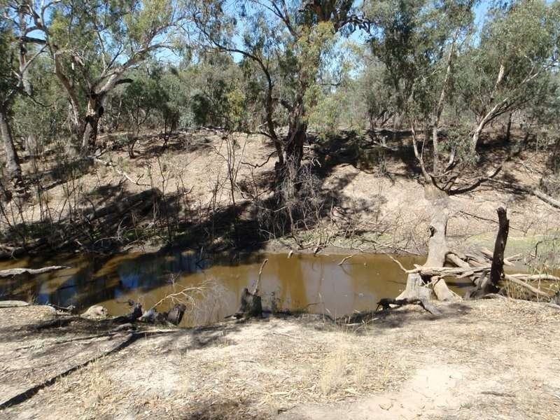 Gollops Road, Deniliquin NSW 2710