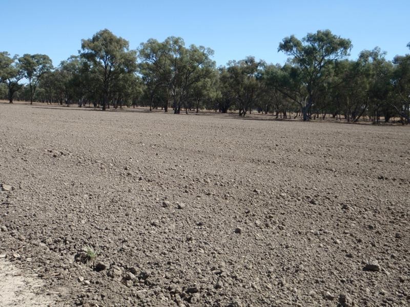 Gollops Road, Deniliquin NSW 2710