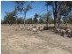 Gollops Road, Deniliquin NSW 2710