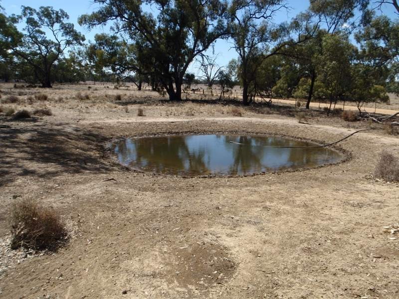 Gollops Road, Deniliquin NSW 2710