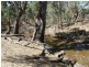 Gollops Road, Deniliquin NSW 2710