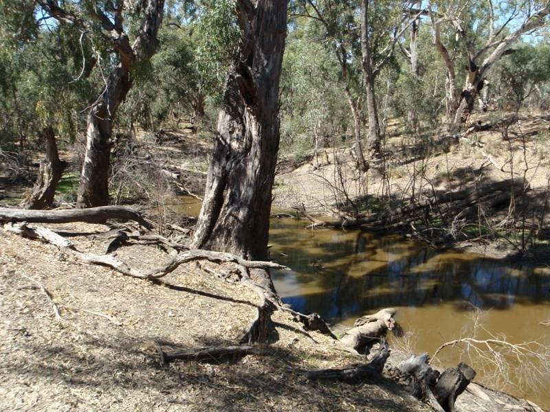 Gollops Road, Deniliquin NSW 2710