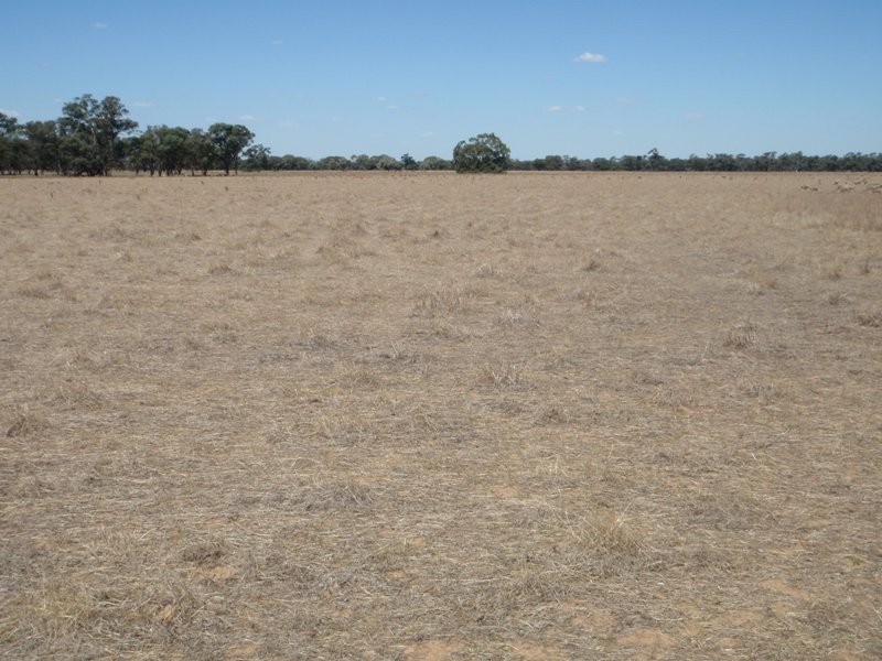 Gollops Road, Deniliquin NSW 2710