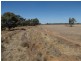 Gollops Road, Deniliquin NSW 2710