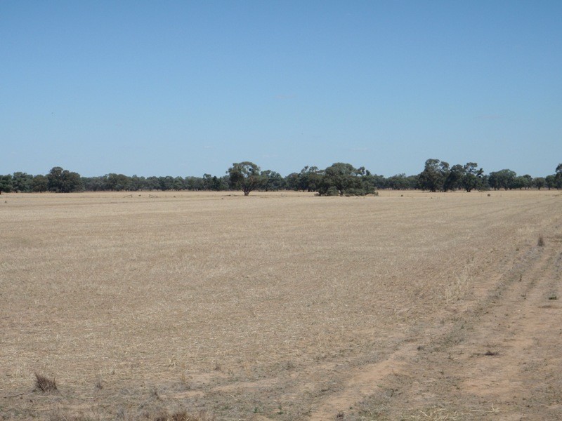 Gollops Road, Deniliquin NSW 2710