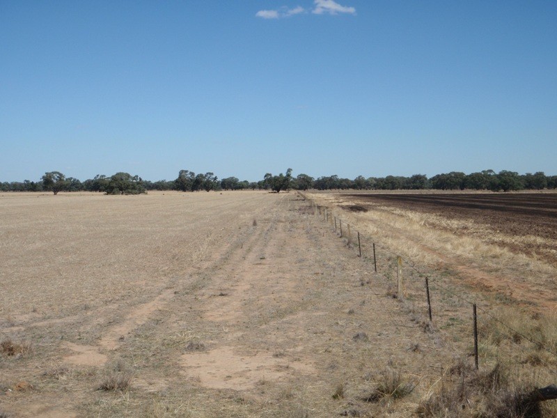 Gollops Road, Deniliquin NSW 2710