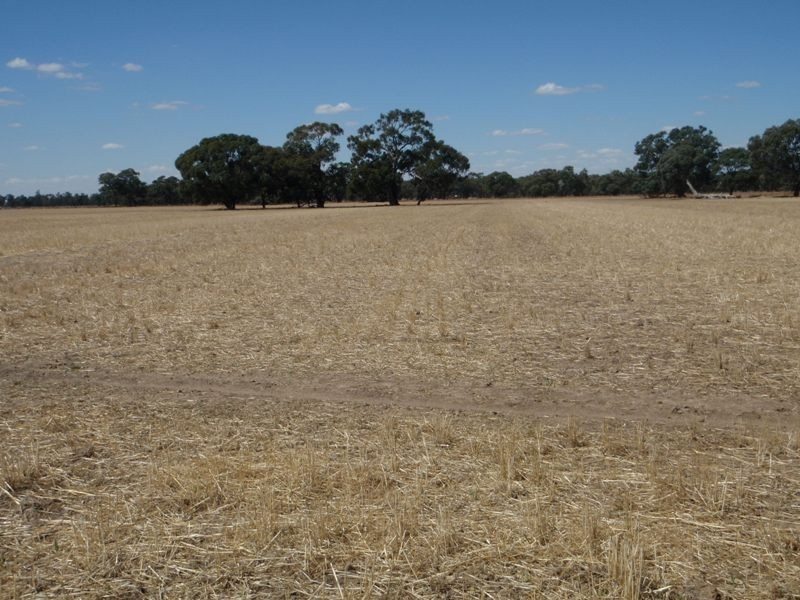 Gollops Road, Deniliquin NSW 2710