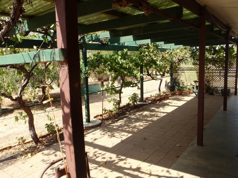 95 Woodstock Road, Berrigan NSW 2712