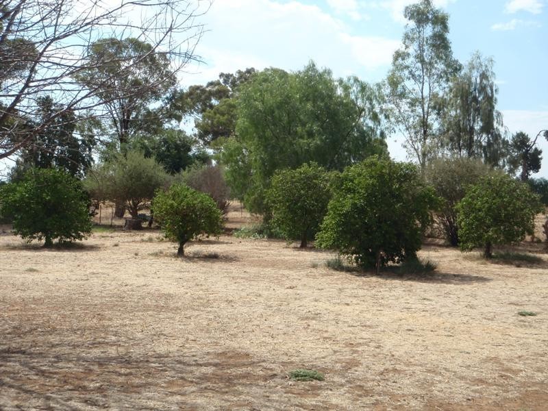 95 Woodstock Road, Berrigan NSW 2712