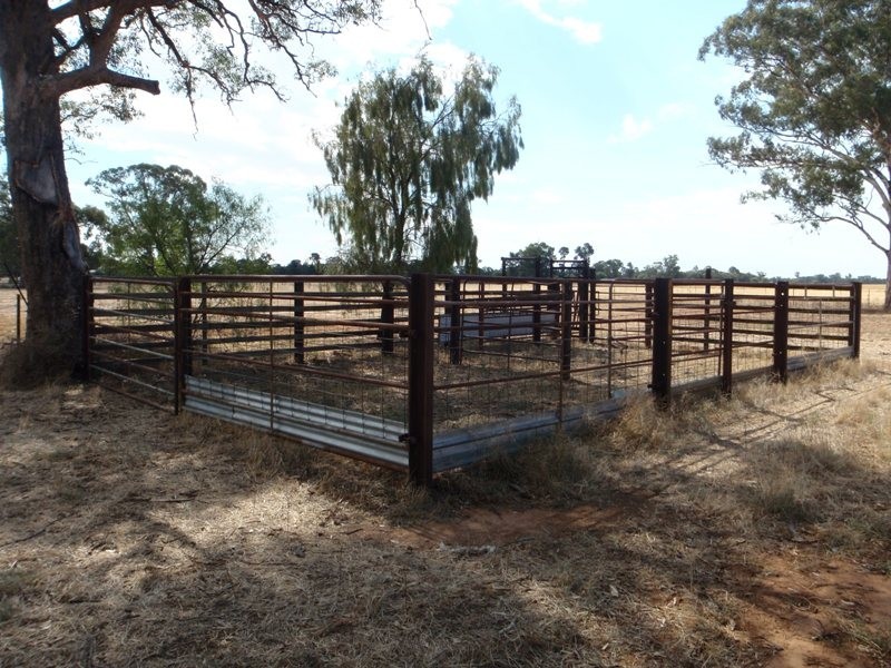 95 Woodstock Road, Berrigan NSW 2712