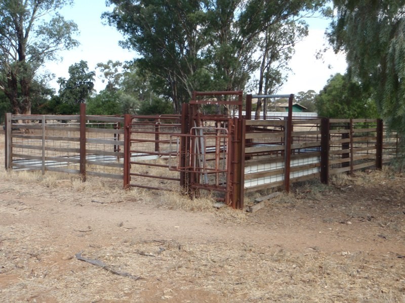 95 Woodstock Road, Berrigan NSW 2712