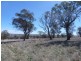 Harden NSW 2587