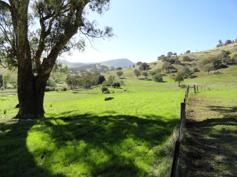7675 Murray Valley Highway, Bullioh VIC 3700