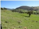 7675 Murray Valley Highway, Bullioh VIC 3700