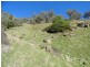 7675 Murray Valley Highway, Bullioh VIC 3700