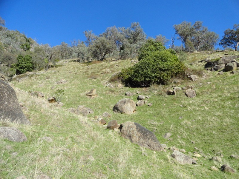 7675 Murray Valley Highway, Bullioh VIC 3700