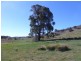 11 Walla lane, Rye Park, Boorowa NSW 2586