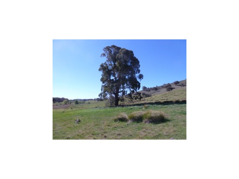 11 Walla lane, Rye Park, Boorowa NSW 2586