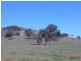 11 Walla lane, Rye Park, Boorowa NSW 2586