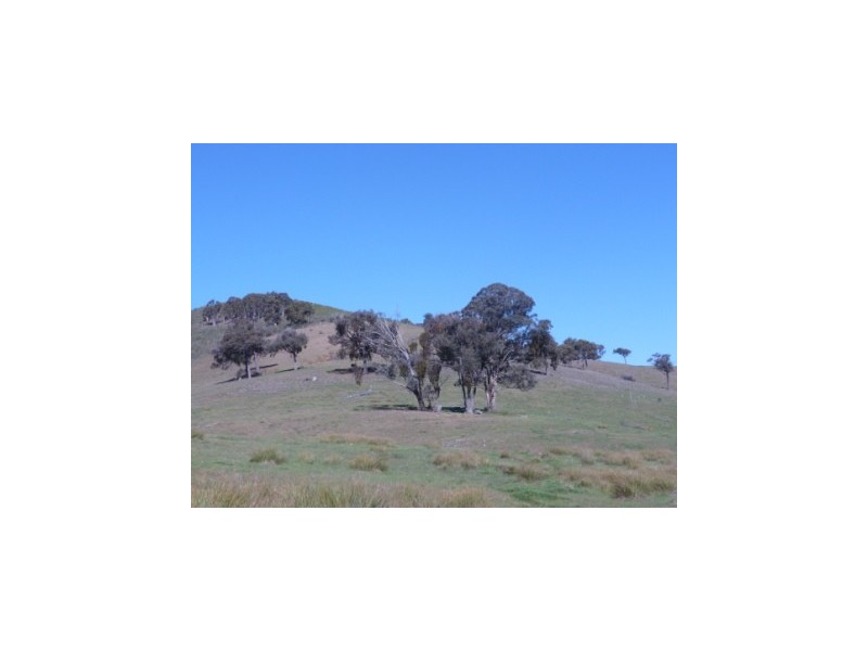 11 Walla lane, Rye Park, Boorowa NSW 2586