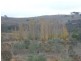 000 Tangmangaroo, Boorowa NSW 2586