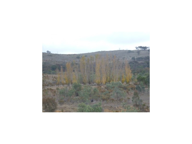 000 Tangmangaroo, Boorowa NSW 2586