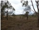 000 Tangmangaroo, Boorowa NSW 2586