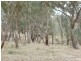 000 Tangmangaroo, Boorowa NSW 2586