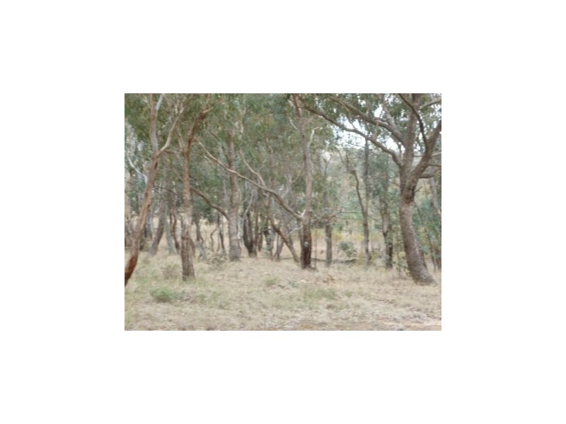 000 Tangmangaroo, Boorowa NSW 2586