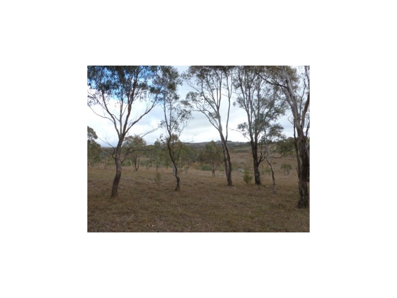000 Tangmangaroo, Boorowa NSW 2586