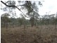 000 Tangmangaroo, Boorowa NSW 2586