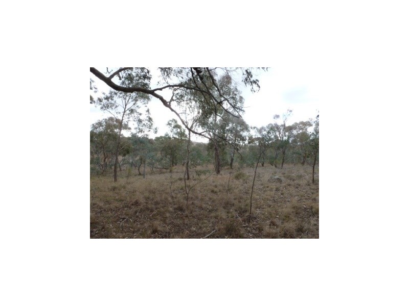 000 Tangmangaroo, Boorowa NSW 2586