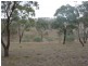 000 Tangmangaroo, Boorowa NSW 2586