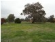 596 Chiltern-Barnawartha Road, Barnawartha VIC 3688