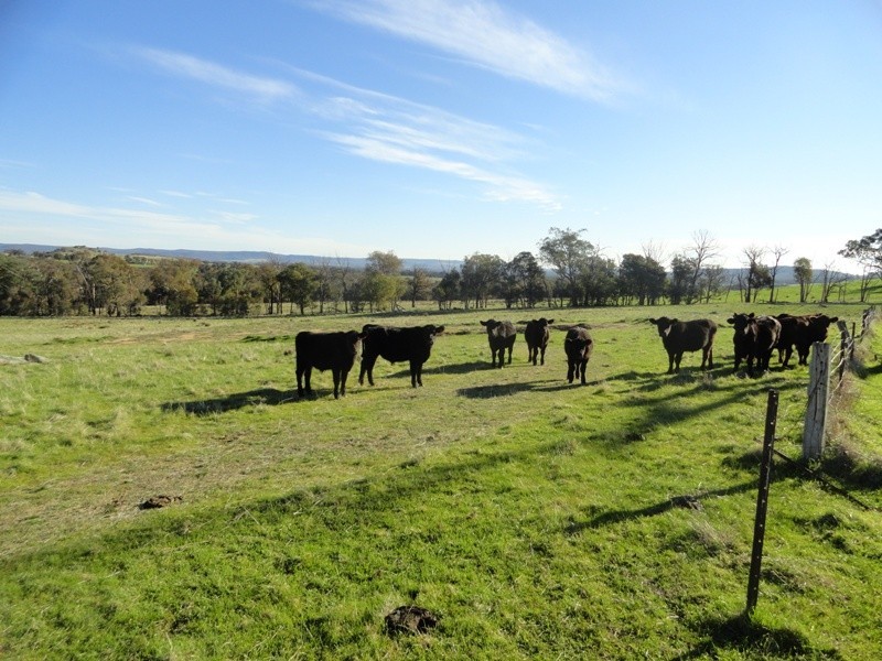 Lot 10 Jessies Lane, Indigo Valley VIC 3688