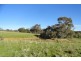 Lot 10 Jessies Lane, Indigo Valley VIC 3688